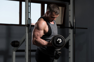 Fototapeta na wymiar Biceps Exercise With Dumbbells In A Gym