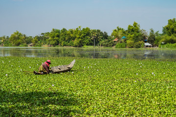 Obraz premium Kambodża - Siem Reap - Krajobraz na wschód od Siem Reap