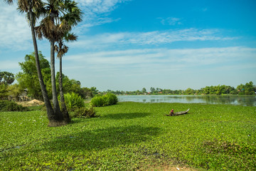 Kambodscha - Siem Reap - Landschaft östlich von Siem Reap