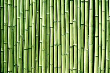 Green bamboo wood wall background texture