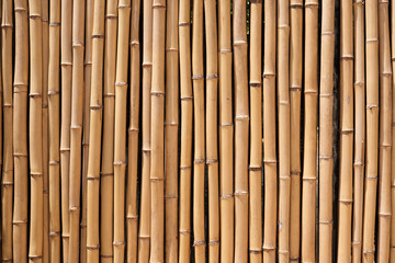 Bamboo wood fence natural background texture