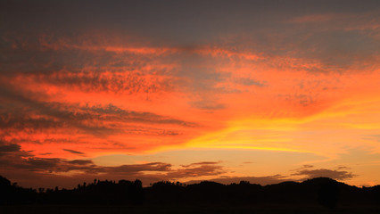 Silhouette sunlight.