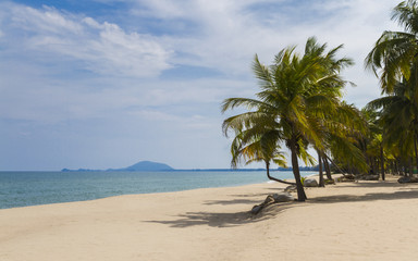 White sand and coconut tree on the beach.