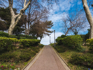 Obraz premium Alejka w parku