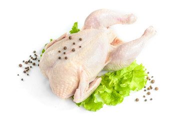 Raw chicken and green salad isolated on white background.