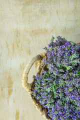 Small Bouquets Bundles of Tied Blooming Fresh Thyme with Blue Flowers in Wicker Basket on Wood Table. Rural Kitchen Garden. Drying Herbs for Tea Seasoning. Provence Style. Top View