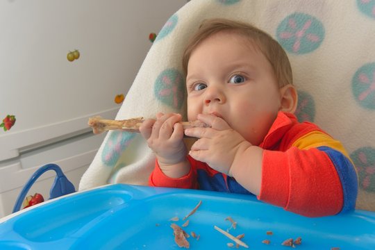 8 Month Baby, Eating A Turkey Leg