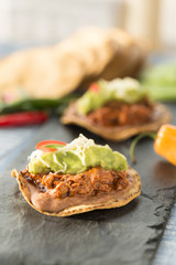 tostadande cochinita pibil