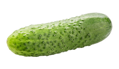 Fresh green cucumber isolated on white background. Clipping path