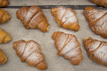 Puff pastry rolls. fresh sweet baking on papyrine. Several kinds of crispy pies lie in rows on a baking sheet on the counter. Top view, tasty delicious, dessert background