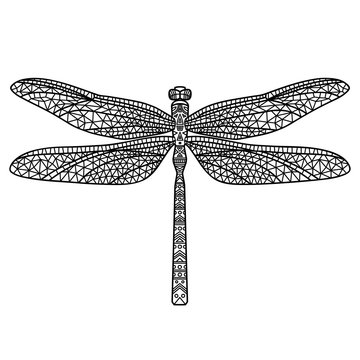 dragonfly/Black abstract dragonfly on white background. Hand-drawn illustration.