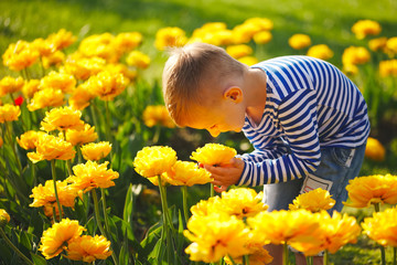 little boy with flowers