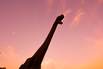 Silhouette of dinosaurs in the sunset.