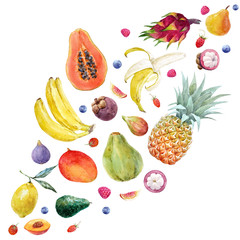 Watercolor exotic fruits composition
