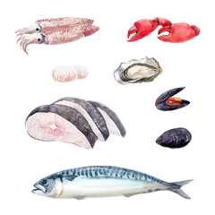 Watercolor sea food set