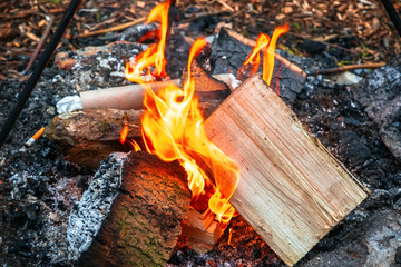 Campfire, burning wood at a campsite in England