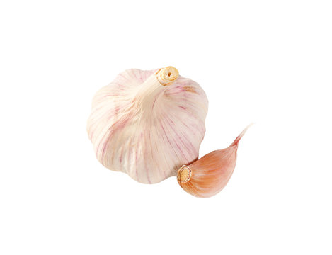 bulb and clove of garlic