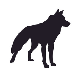 dog stands, silhouette, vector