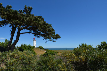 Leuchtturm auf der Insel Hiddensee, Am Dornbusch