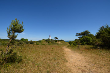 Leuchtturm auf der Insel Hiddensee, Am Dornbusch