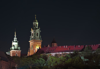 Obraz premium Wawel 3