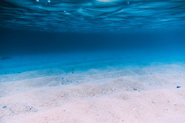 Tropical sea with sand is underwater. Sea texture in Indian ocean.