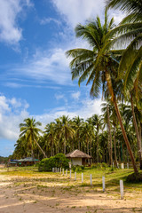 Naklejka na ściany i meble Palm trees on the beach. Tropical beach. Paradise Beach in the Philippines. Nacpan Beach. El Nido Palawan, Philippines
