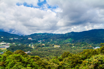 Tea plantations, Cameron Highlands, Pahang, Malaysia