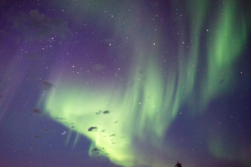 カナダ　イエローナイフ　オーロラ