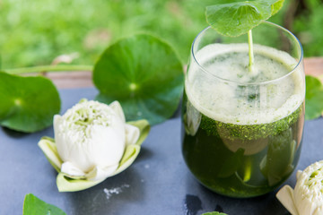 Blended green pennywort , asiatic juice with green background.
