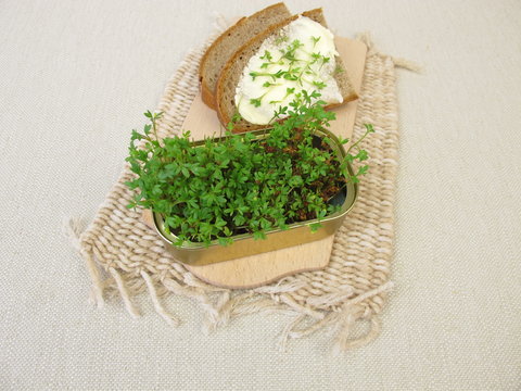 Butterbrot mit Kresse Sprossen in der Fischb&uuml;chse