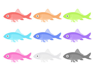 魚のカラーバリエーション