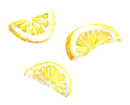 Watercolor painted lemon slices