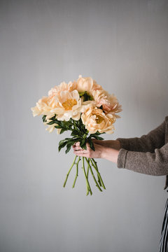 Woman's hand holding peony flowers against gray wall