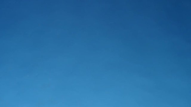 hands of Young man plays jenga on blue background, close-up. A man builds a tower of blocks while playing jenga