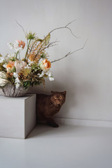Katze schleicht um Blumen Bouquet herum