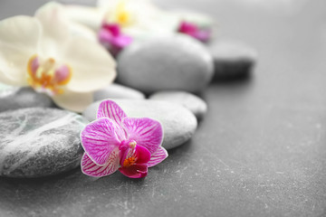 Spa stones and beautiful orchid flowers on grey background