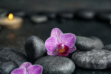 Fototapeta na wymiar Spa stones and beautiful orchid flowers on dark blurred background