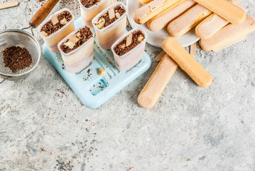Tiramisu popsicles ice cream. Gelato pops with italian savoiardi cookies, nascarpone, milk chocolate, with tiramisu ingredients on grey stone kitchen table. top view copy space