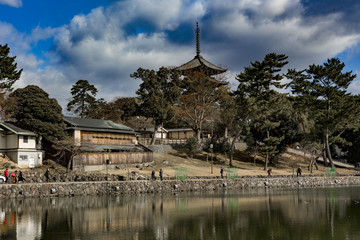 Fototapeta na wymiar Pagode dans le Parc de Nara