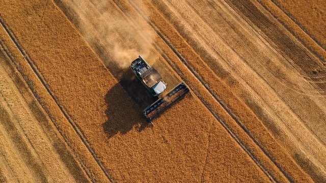 Summer view of combine harvester machine, in the romanian fields. Aerial view of harvesters