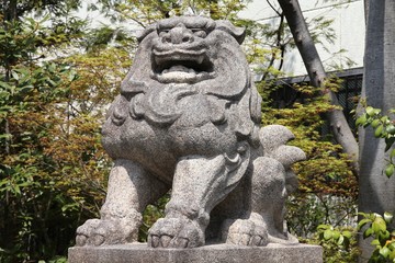 Fototapeta na wymiar Japanese lion dog