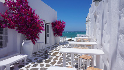 Photo of beautiful bougainvillea flower with awesome colors in picturesque Greek island of Paros with deep blue waves       