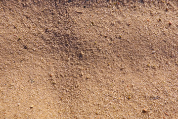 Beach sand background texture