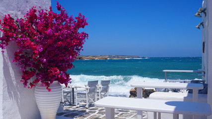 Obraz premium Photo of beautiful bougainvillea flower with awesome colours in picturesque Greek island with deep blue waves 