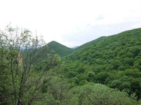 Tbilisi Georgia Kahetia