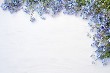 Blue forget-me-nots flowers on white wooden  background. Copy space, top view. Holiday background.