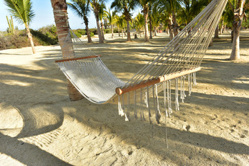 hammock hanging in topical palm grove