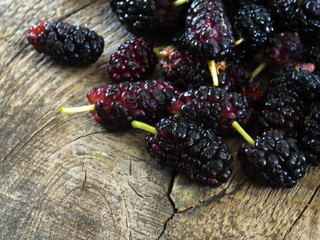 Morus - healthy fruit