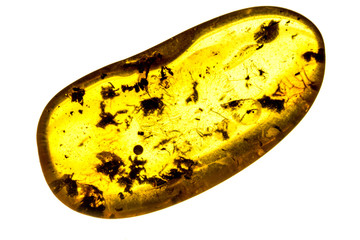 amber with inclusions